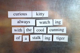 Magnetic Poetry | Cat Lover