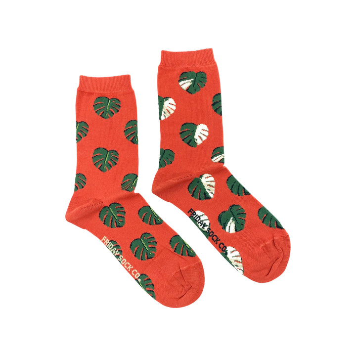 Friday Sock Co. |  Women's Socks | Monstera Leaf