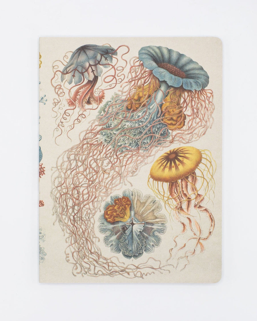 Haeckel Jellyfish Notebook | Cognitive Surplus