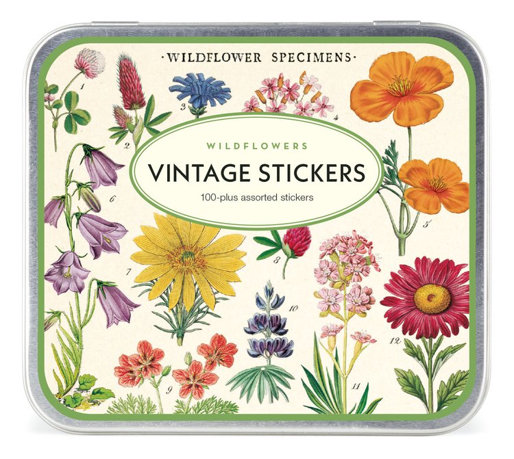 Wildflower Specimens Vintage Stickers | Cavallini