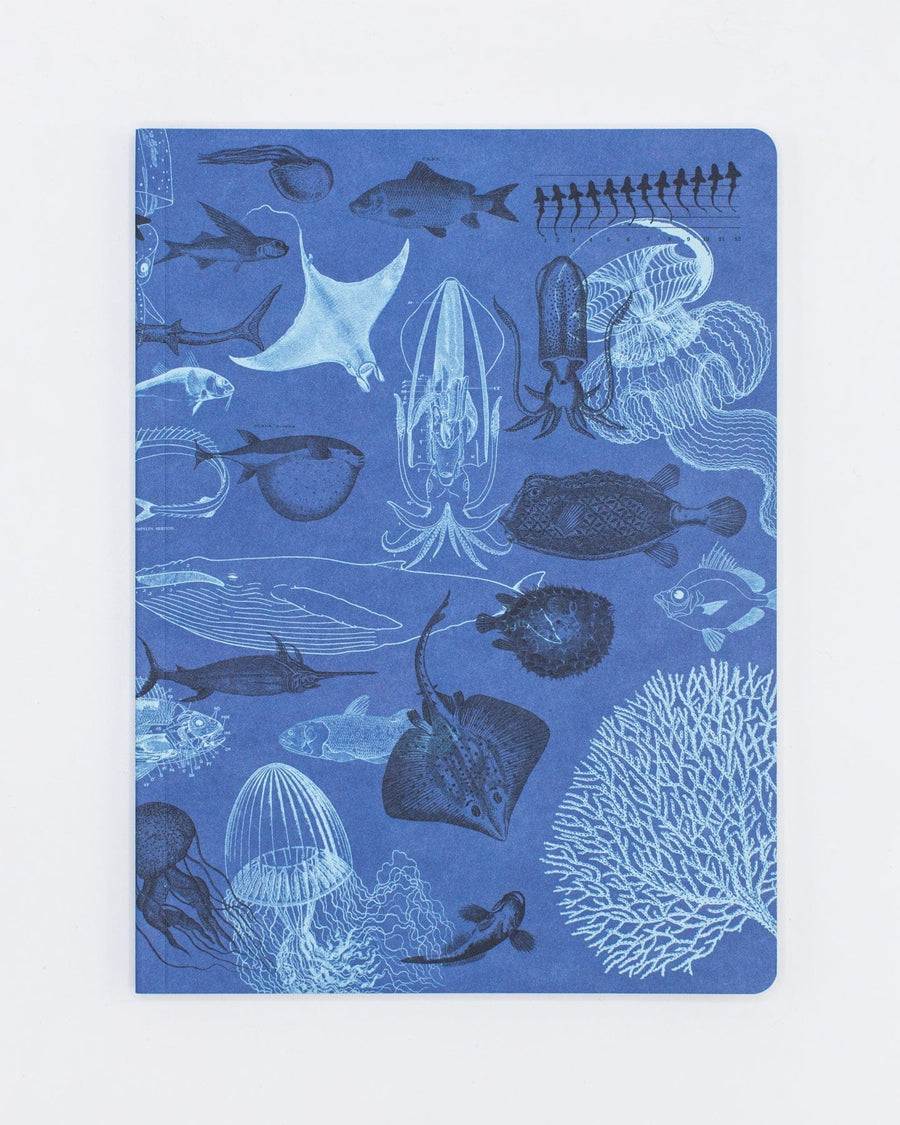 Marine Animals Notebook | Cognitive Surplus