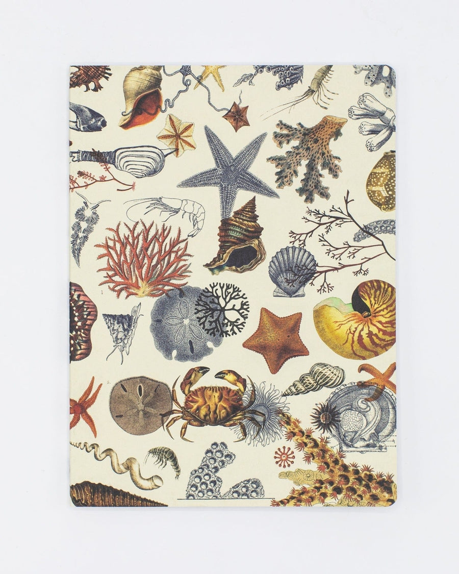 Shallow Seas Plate 2 Notebook | Cognitive Surplus