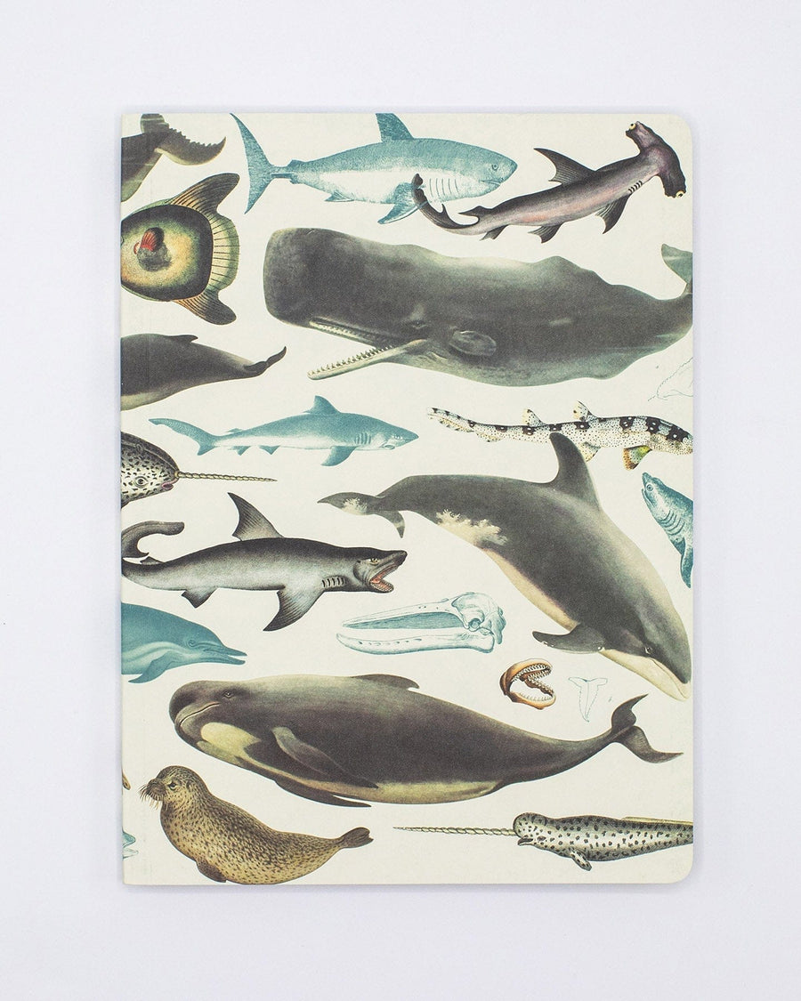 Whales & Seals Aquatic Megafauna Notebook | Cognitive Surplus