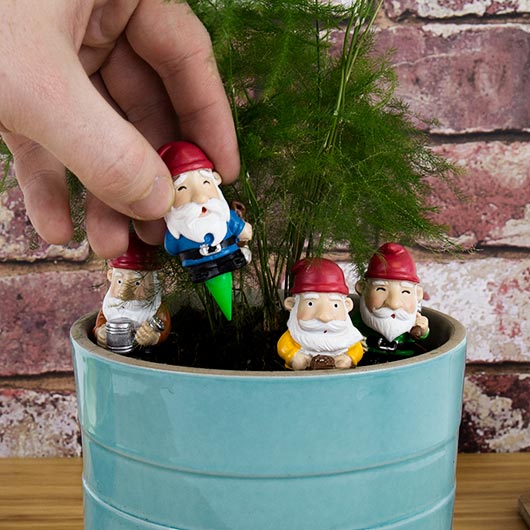 Mini Plant Pot Gnomes | Gift Republic