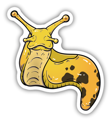 Banana Slug Sticker - Oscar & Libby's