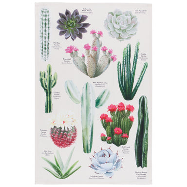 Botanical Cacti Dish Towel | Now Designs Danica - Oscar & Libby's