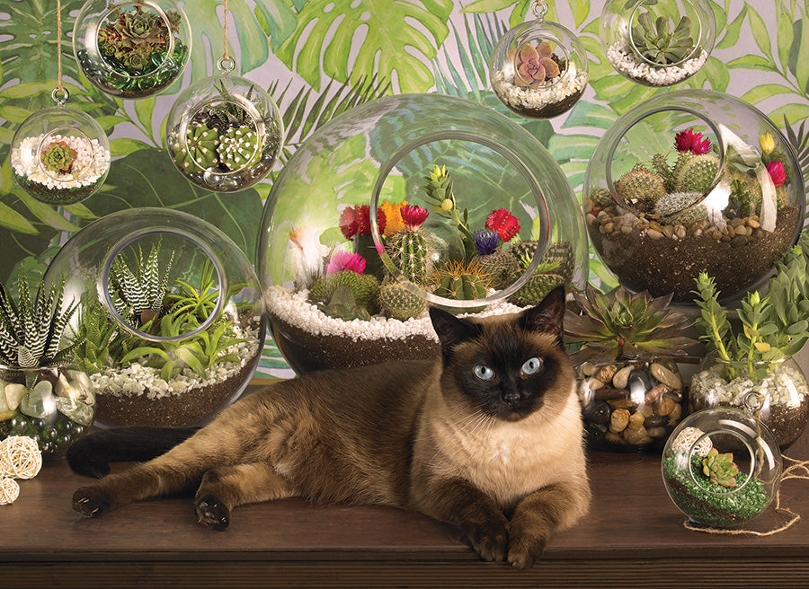 Cobble Hill | Terrarium Cat 1000 piece puzzle Cobble Hill - Oscar & Libby's