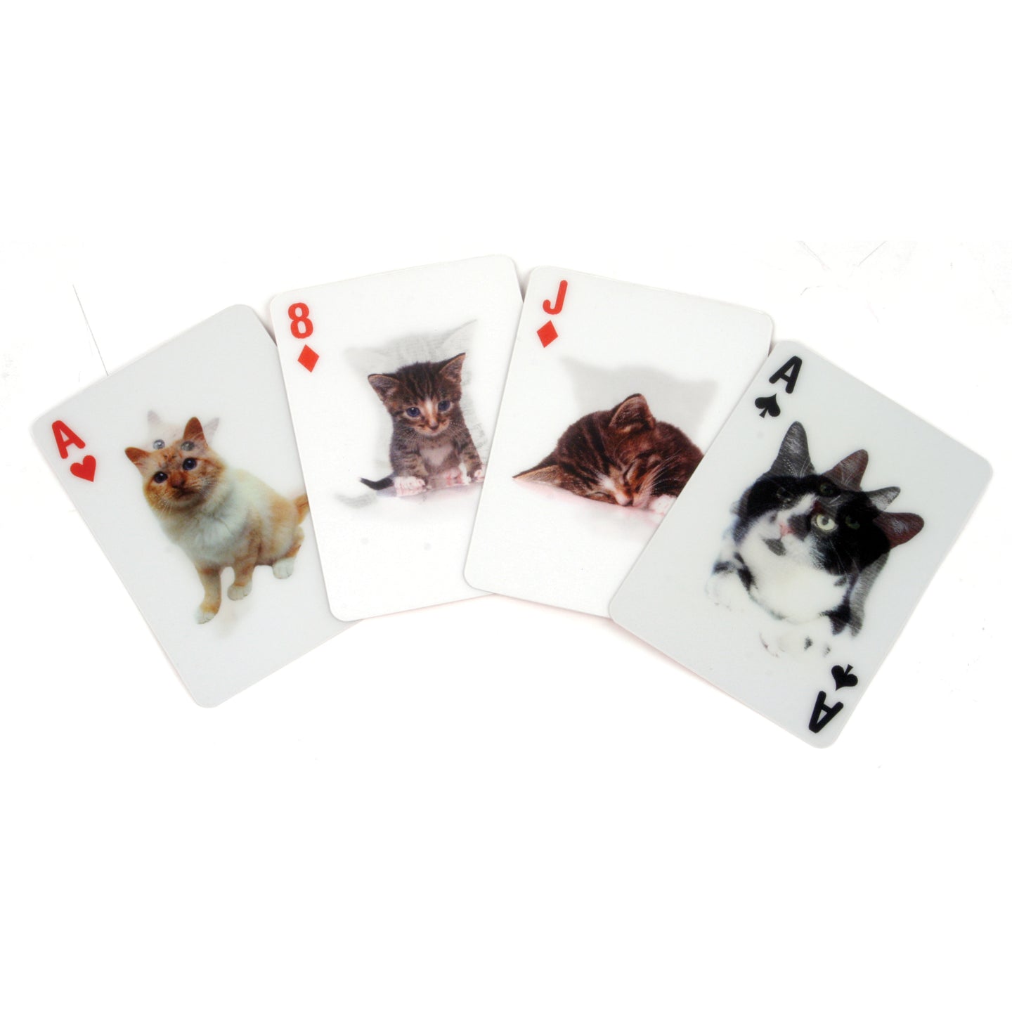 3-D Cat Playing Cards NMR - Oscar & Libby's