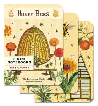 Honey Bees Maps 3 Pack Mini Notebooks | Cavallini Cavallini & Co - Oscar & Libby's