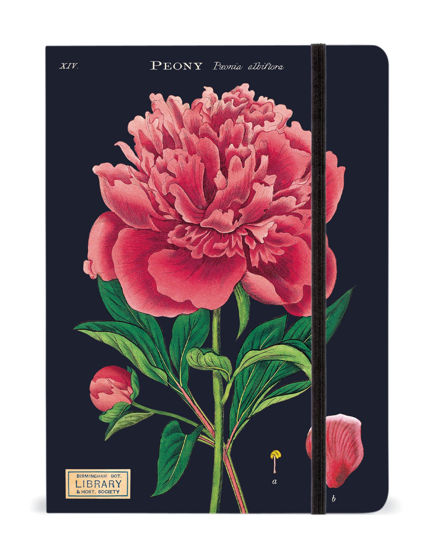 Botany Large Notebook | Cavallini Cavallini & Co - Oscar & Libby's