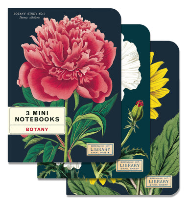 Botany Maps 3 Pack Mini Notebooks | Cavallini Cavallini & Co - Oscar & Libby's
