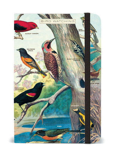 Bird Watching Notebook  | Cavallini - Oscar & Libby's