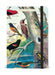 Bird Watching Notebook  | Cavallini - Oscar & Libby's