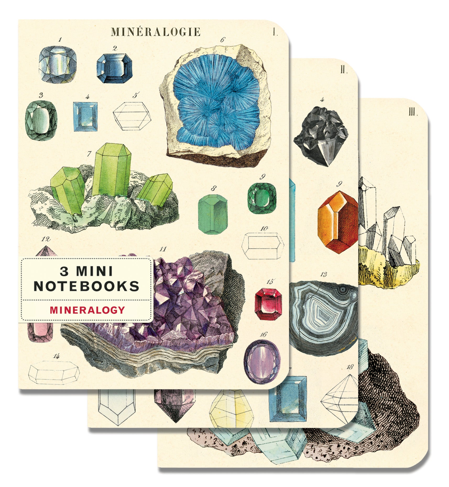 Mineralogy Maps 3 Pack Mini Notebooks | Cavallini Cavallini & Co - Oscar & Libby's