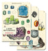 Mineralogy Maps 3 Pack Mini Notebooks | Cavallini Cavallini & Co - Oscar & Libby's