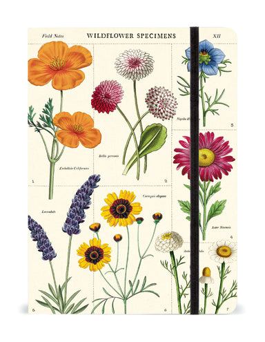 Wildflower Specimens Large Notebook | Cavallini Cavallini & Co - Oscar & Libby's