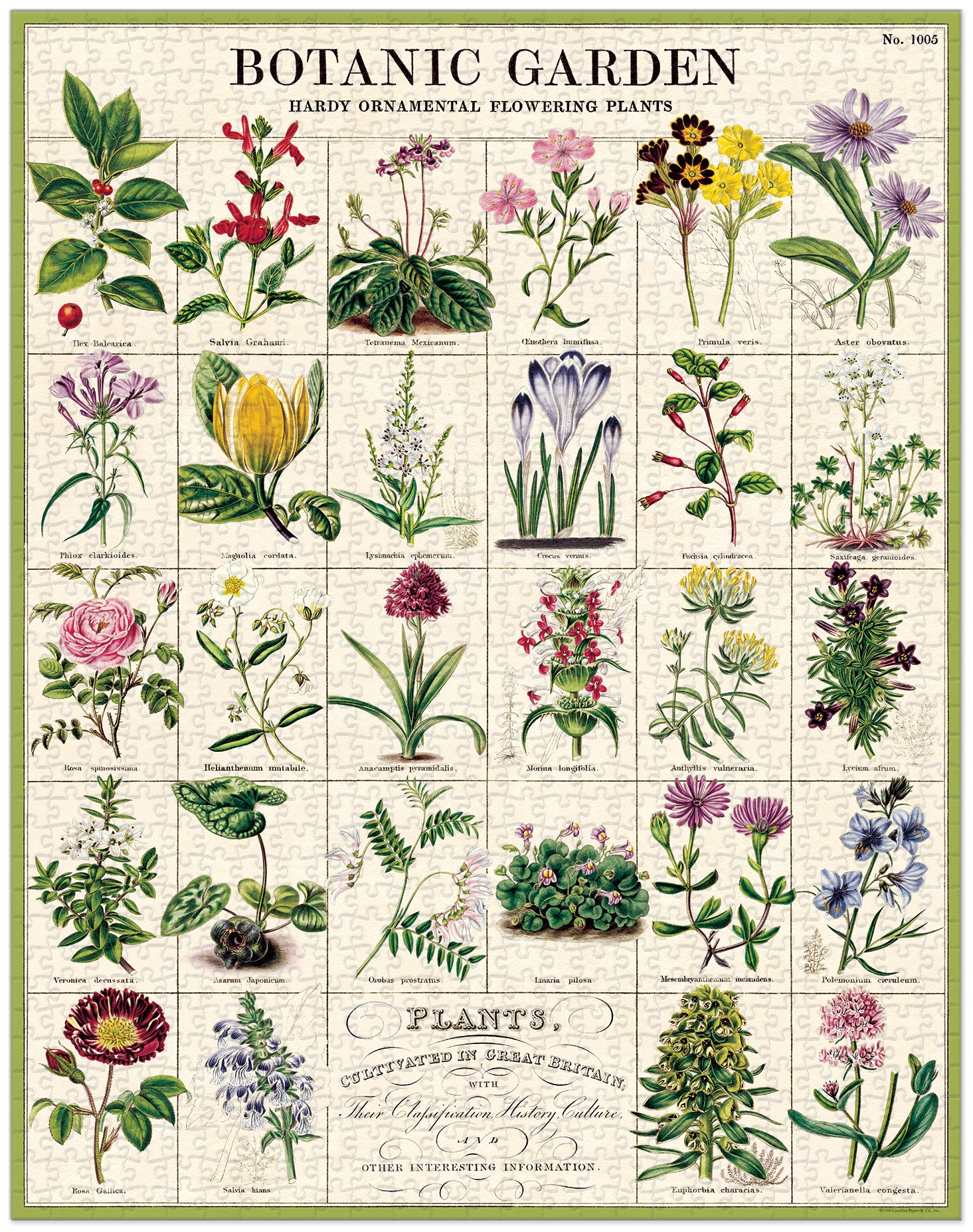 Cavallini & Co | Botanic Garden 1000 piece puzzle Cavallini & Co - Oscar & Libby's