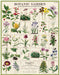 Cavallini & Co | Botanic Garden 1000 piece puzzle Cavallini & Co - Oscar & Libby's