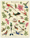 Cavallini & Co | Hummingbirds 1000 piece puzzle - Oscar & Libby's