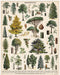 Cavallini & Co | Arboretum 1000 piece puzzle Cavallini & Co - Oscar & Libby's
