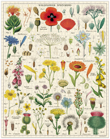 Cavallini & Co | Wildflowers 1000 piece puzzle Cavallini & Co - Oscar & Libby's