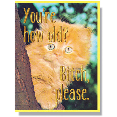 You're How Old? Bitch Please. | Smitten Kitten Pedaller Designs - Oscar & Libby's