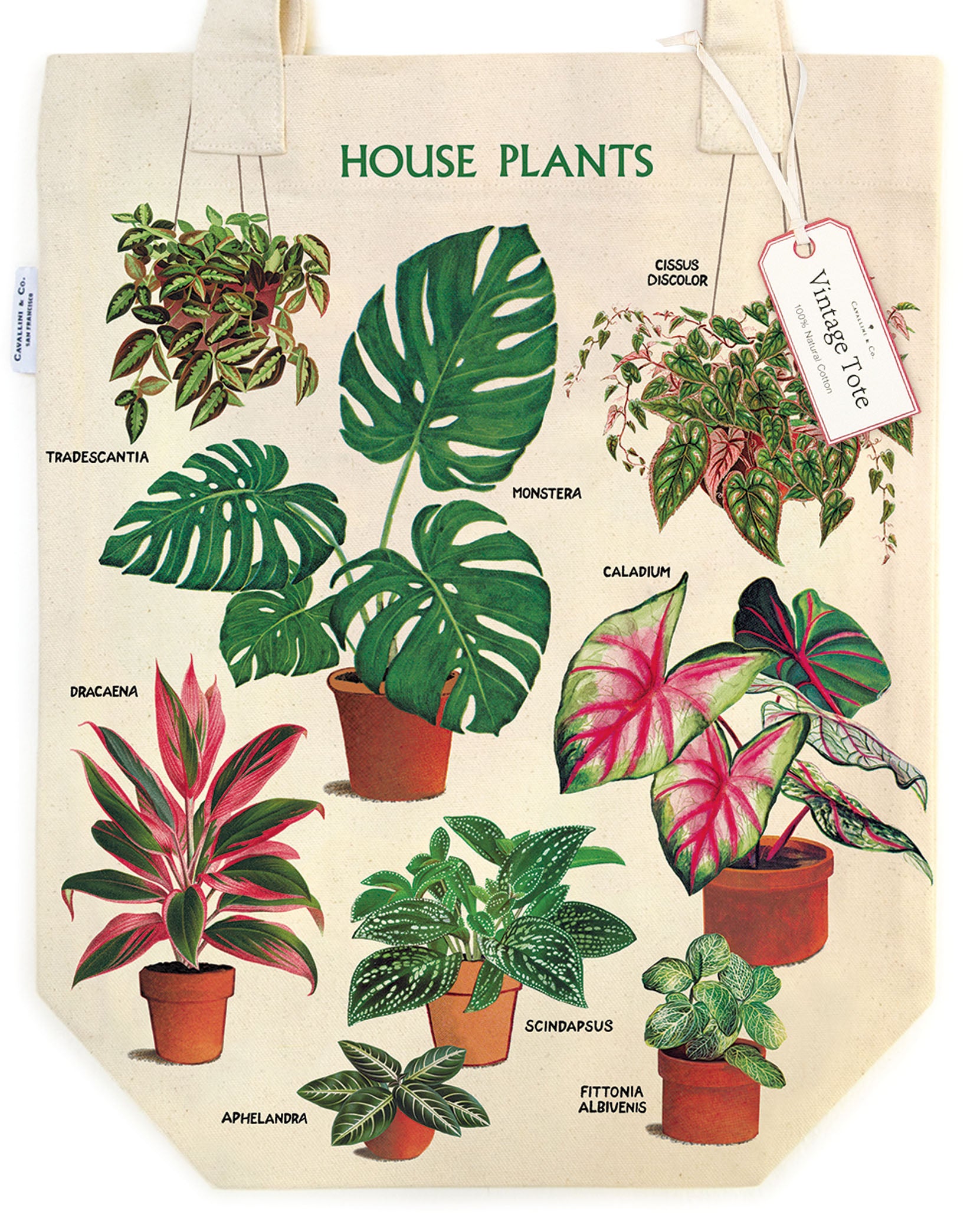 House Plants Tote Bag | Cavallini Cavallini & Co - Oscar & Libby's