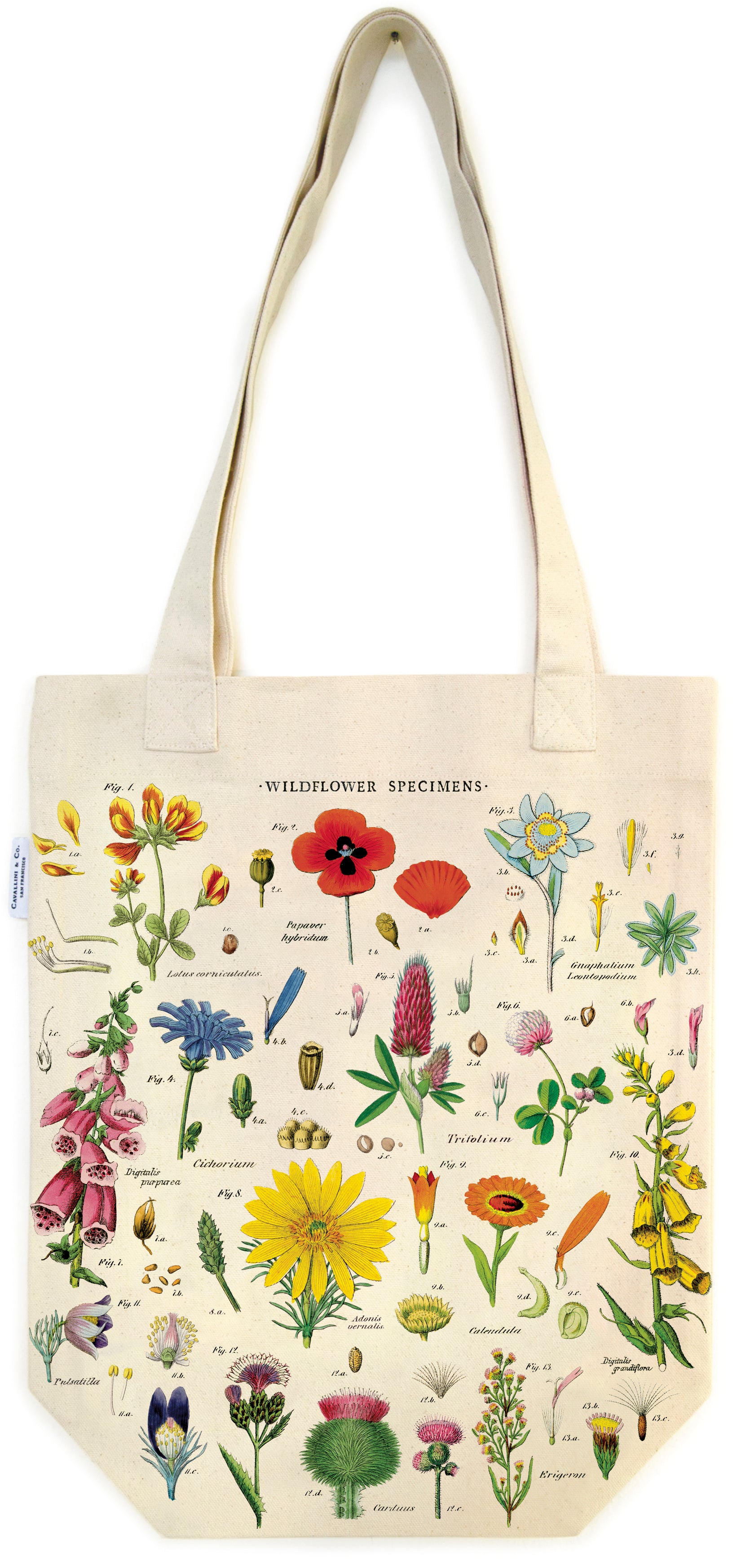 Wild Flowers Tote Bag | Cavallini Cavallini & Co - Oscar & Libby's