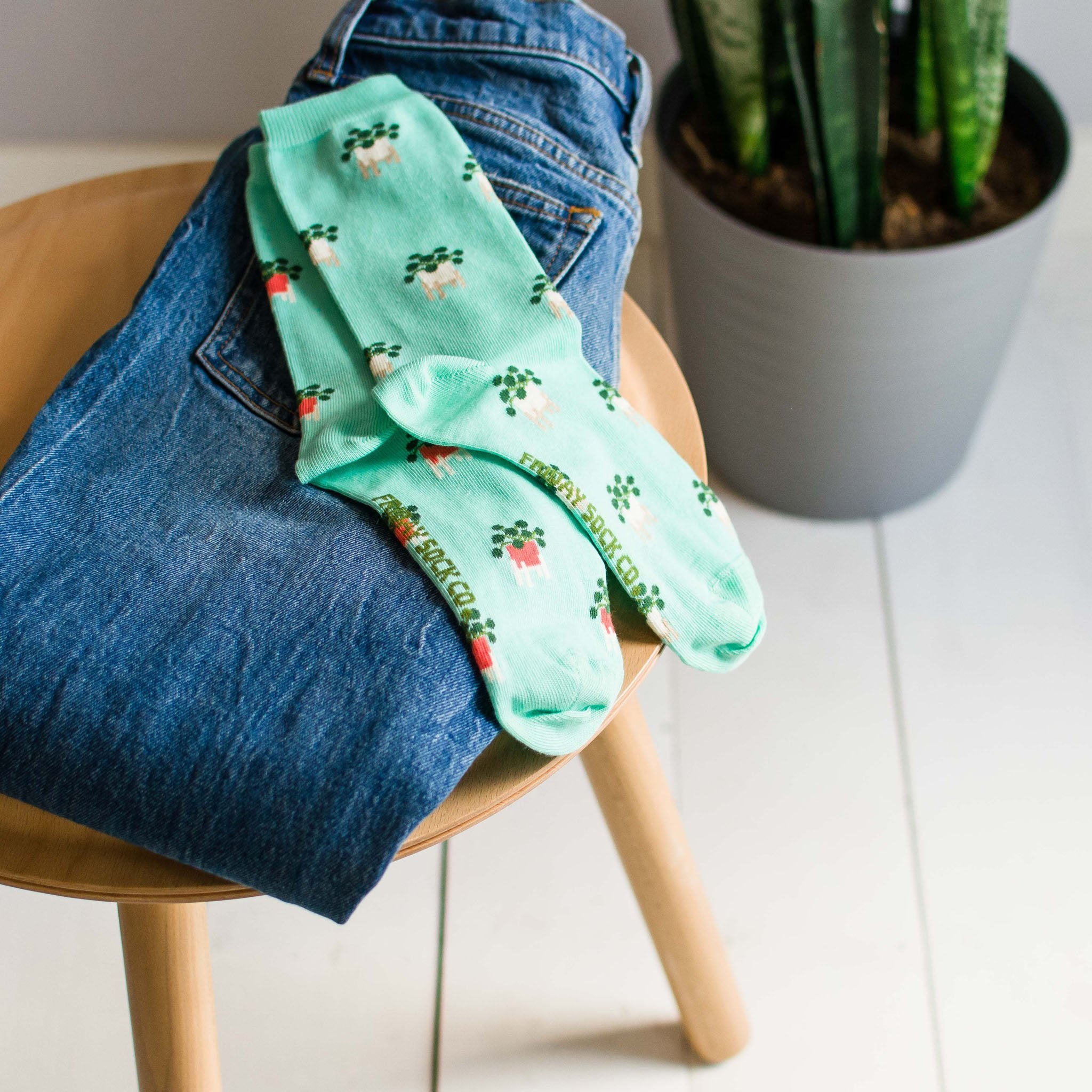 Friday Sock Co. |  Women's Socks | Pilea Socks Friday Sock Co. - Oscar & Libby's