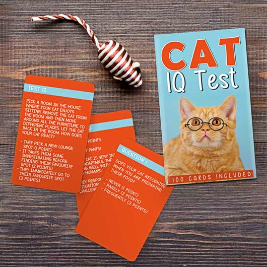 Cat IQ Test JabCo - Oscar & Libby's