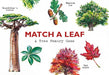 Match a Leaf Laurence King - Oscar & Libby's