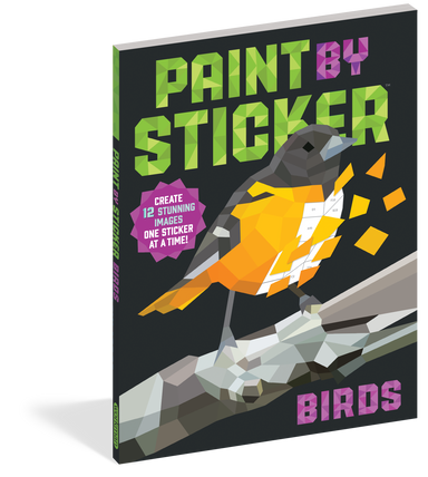 Paint by Stickers : Birds Workman - Oscar & Libby's